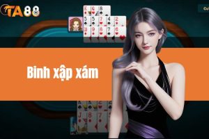 Binh xập xám TA88 và những điều cần biết cho tân thủ